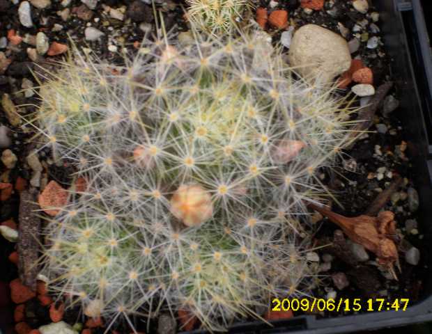 image003.jpg
