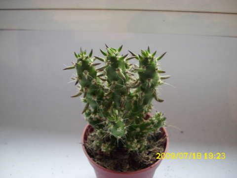 DSCI0241.JPG