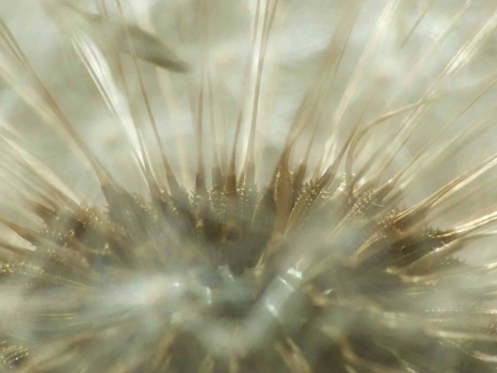 Compressed_0017.jpg