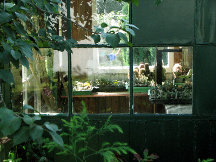Parkweg 2009-09-29 007.JPG