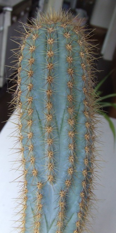 DSCF1997_klein.jpg