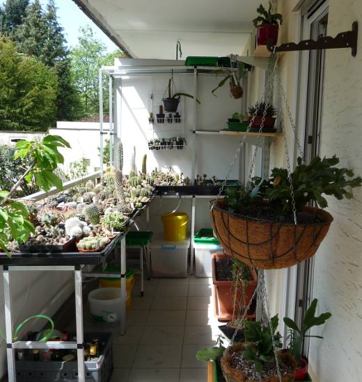 balkon_2010_1.jpg