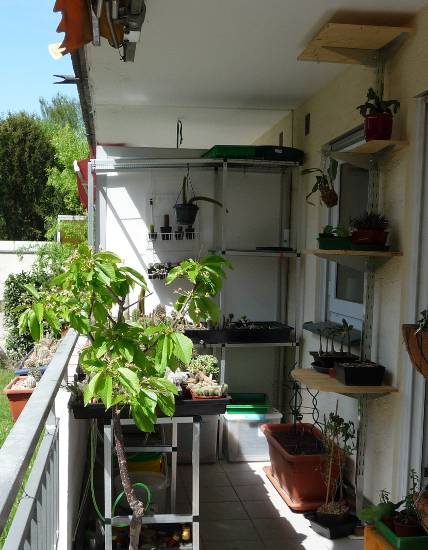 balkon_2010_2.jpg