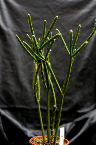 20101027-201107-682.jpg
