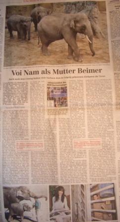LVZ vom 20.12.2010