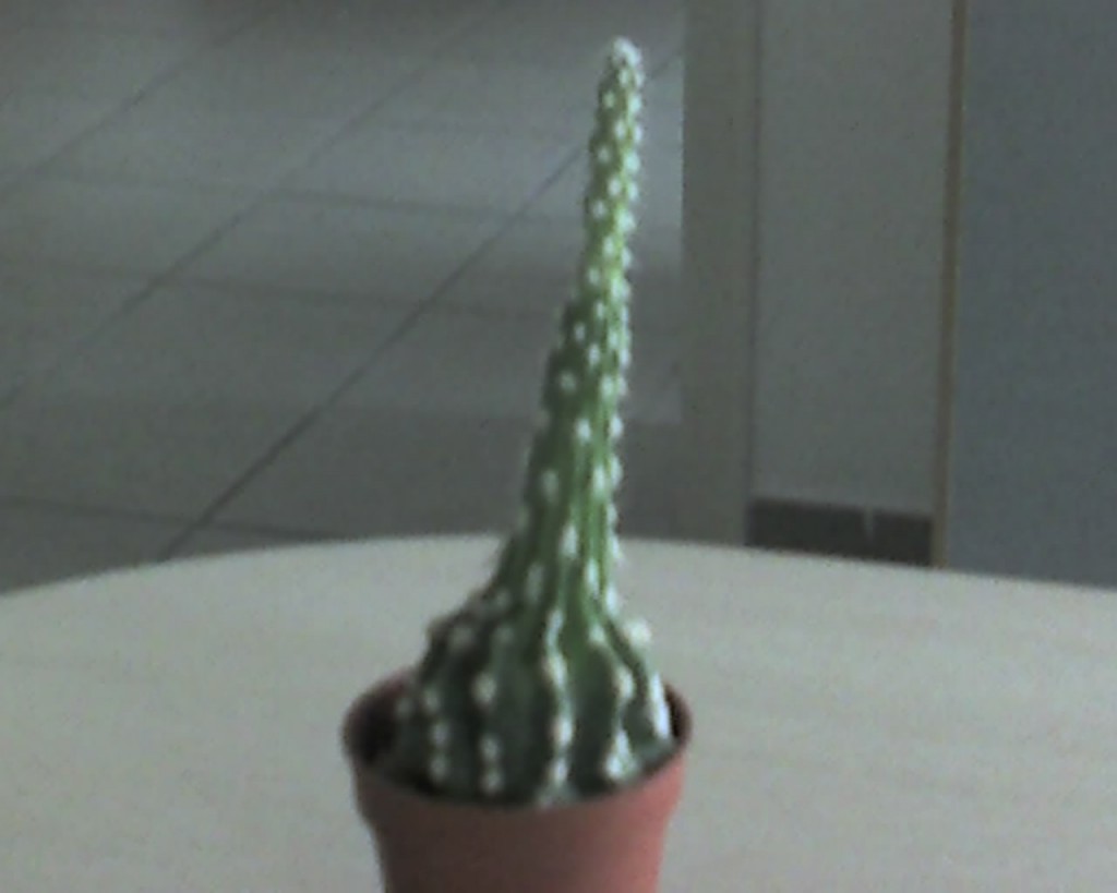 img186.jpg