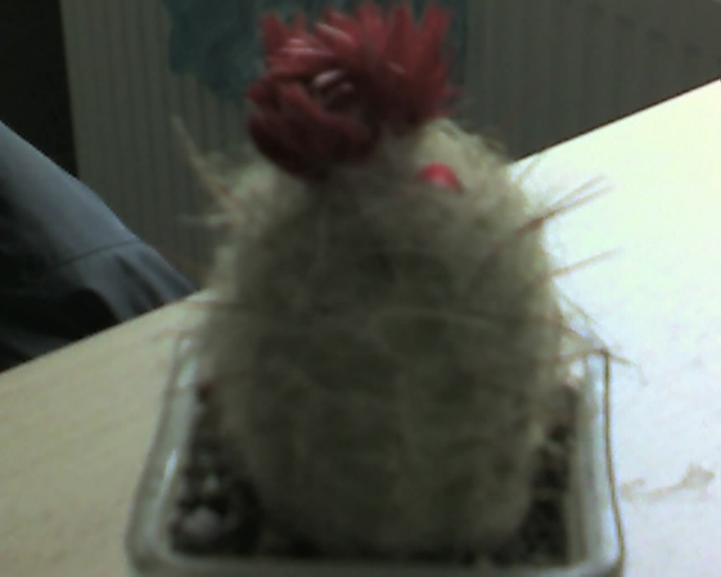 img191.jpg