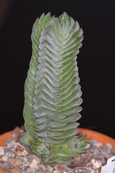 DSC_6722.jpg