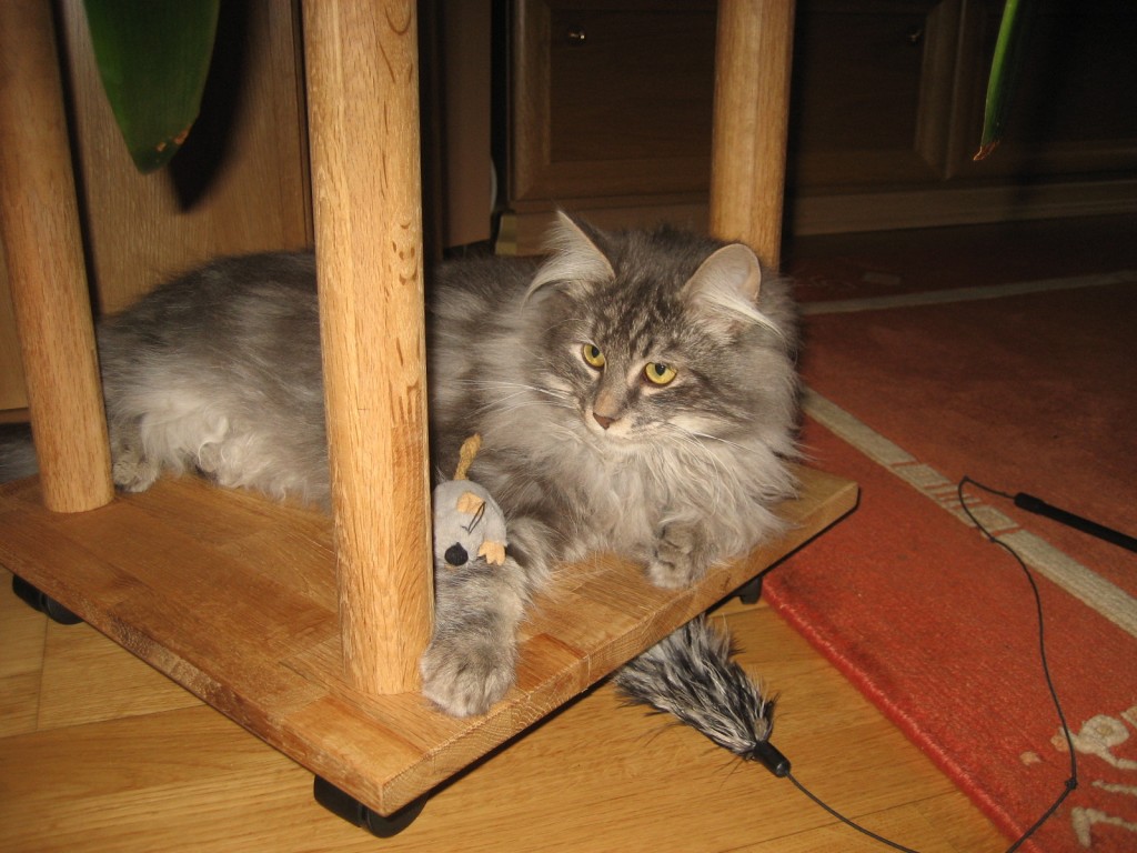 20100104-212300-937.jpg