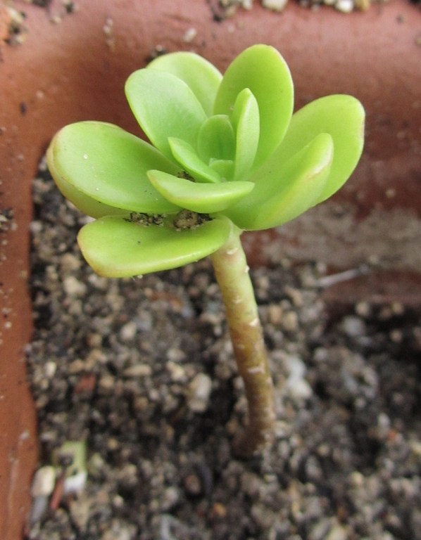 20110830-124249-727.jpg