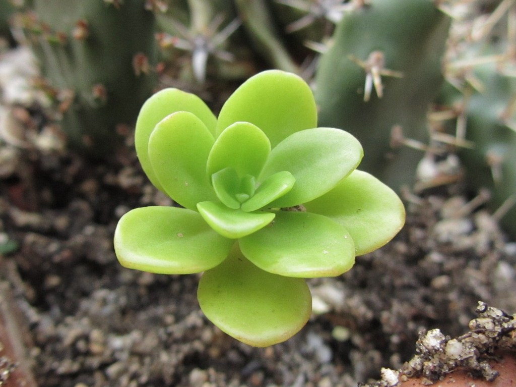 20110830-124247-241.jpg