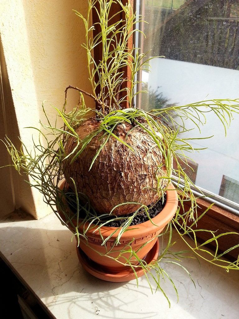 20120921_105810.jpg