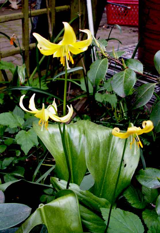 PICT0373.jpg