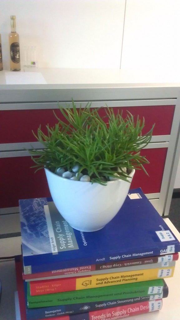 IMAG0005.jpg